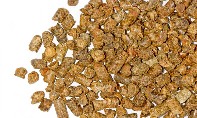 Dried Distillers Grains with Solubles