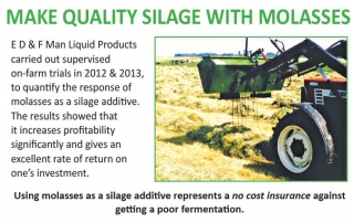 Make quality silage with molasses
